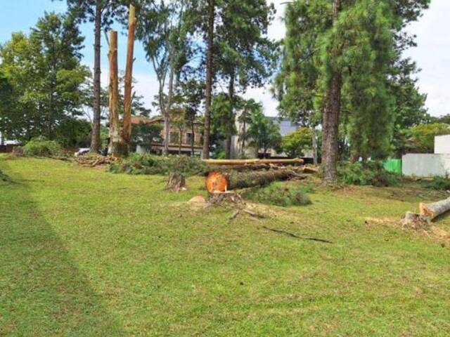 Venda em Residencial Morada das Estrelas (Aldeia da Serra) - Barueri